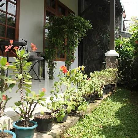 Bed And Breakfast Tomang-2